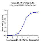 Human B7-H7/HHLA2 Protein (BH7-HM277)