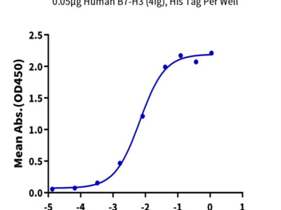 Human B7-H3 (4Ig) /B7-H3b Protein (BH7-HM43B)