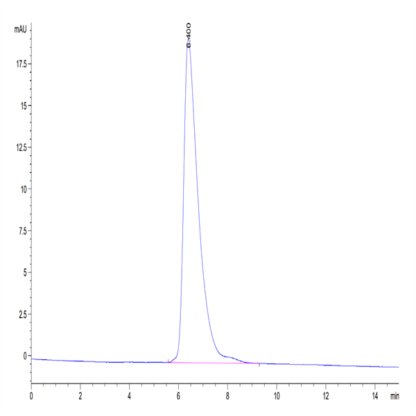 Human B7-H3 (4Ig) /B7-H3b Protein (BH7-HM43B)