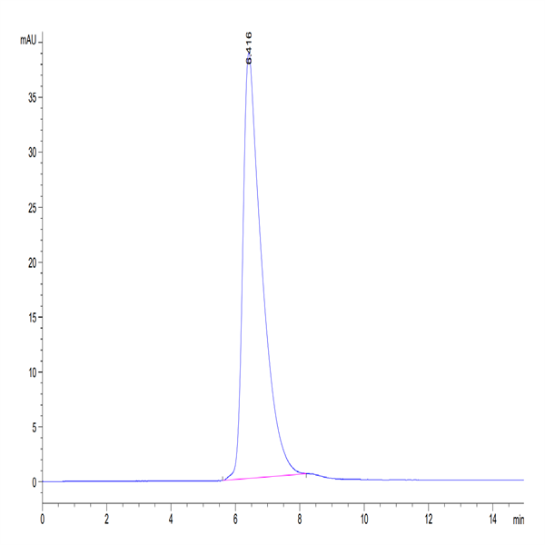 Biotinylated Human B7-H3 (4Ig) /B7-H3b Protein (BH7-HM43BB)