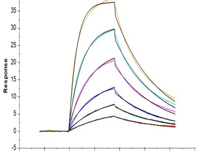 Human B7-H2/ICOSLG Protein (BH7-HM472)