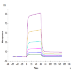 Biotinylated Human B7-H6 Protein (BH7-HM476B)