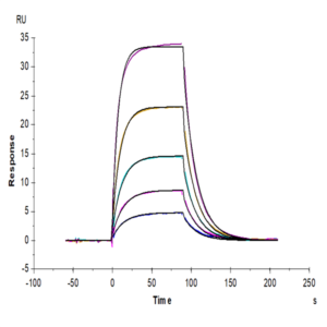 Mouse B7-H2/ICOSLG Protein (BH7-MM172)