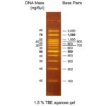 BIO-HELIX OmniMARK (BH OneMARK) 100 RTU（100-3,000 bps） (catalog No. DMF12-0100)