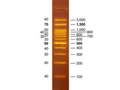 BIO-HELIX OmniMARK (BH OneMARK) 100 RTU（100-3,000 bps） (catalog No. DMF12-0100)