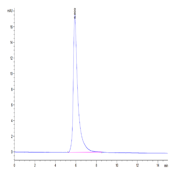 Human BTN3A3/BTF3 Protein (BNT-HM1A3) Human BTN3A3/BTF3 Protein (BNT-HM1A3)