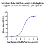 SARS-CoV-2 Spike RBD (Omicron BQ.1.1) Protein (BQ1-HM111)