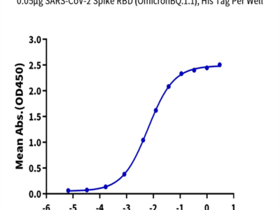 SARS-CoV-2 Spike RBD (Omicron BQ.1.1) Protein (BQ1-HM111)