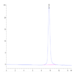 SARS-CoV-2 Spike RBD (Omicron BQ.1.1) Protein (BQ1-HM111)