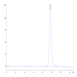 SARS-CoV-2 Spike RBD (Omicron BQ.1.1) Protein (BQ1-HM111)