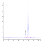 Human BLOC1S2 Protein (BS2-HE001)