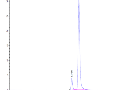 Human BLOC1S2 Protein (BS2-HE001)
