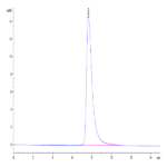 Cynomolgus Serum Albumin Protein (BSA-CM101)