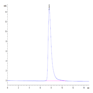 Cynomolgus Serum Albumin Protein (BSA-CM101)