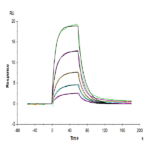 Biotinylated Human Serum Albumin Protein (BSA-HM401B)