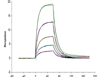 Biotinylated Human Serum Albumin Protein (BSA-HM401B)