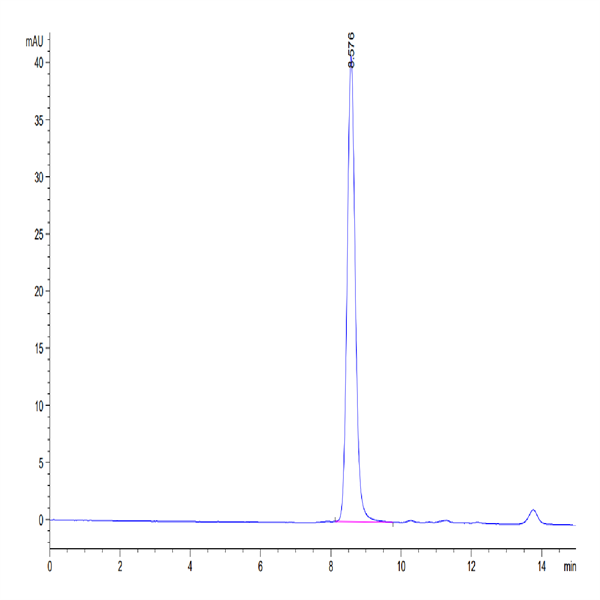 Mouse Serum Albumin Protein (BSA-MM101)