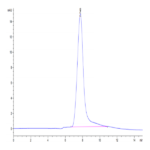 Cynomolgus BSPII Protein (BSP-CM101)