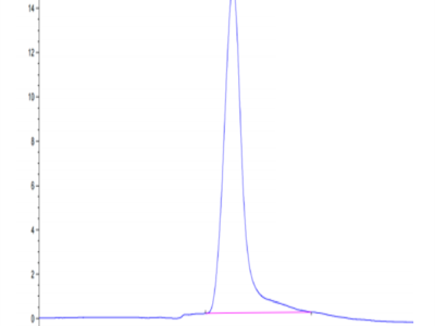 Cynomolgus BSPII Protein (BSP-CM101)