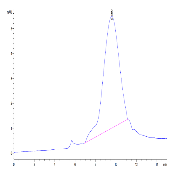Human BSPII Protein (BSP-HM101) Human BSPII Protein (BSP-HM101)