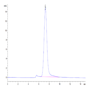 Mouse BSPII Protein (BSP-MM101)