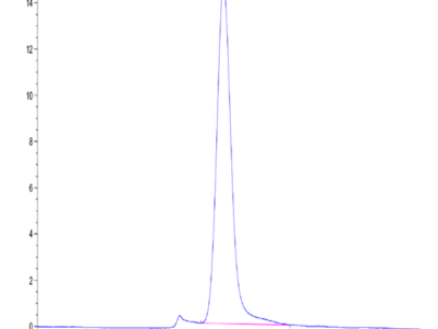 Mouse BSPII Protein (BSP-MM101)