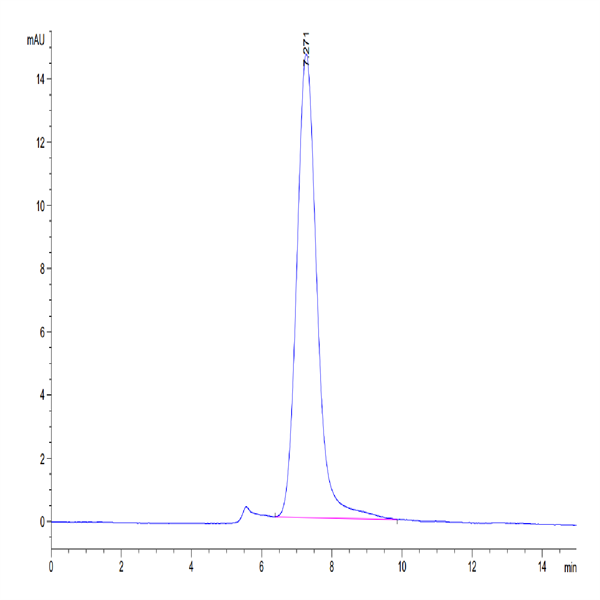 Mouse BSPII Protein (BSP-MM101) Mouse BSPII Protein (BSP-MM101)