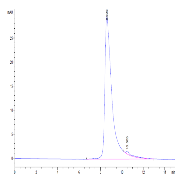 Cynomolgus BST1 Protein (BST-CM101) Cynomolgus BST1 Protein (BST-CM101)