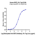 Human BST2 Protein (BST-HM202)