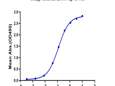 Human BST2 Protein (BST-HM202)