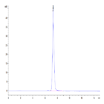 Human BST2 Protein (BST-HM202)