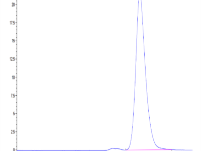 Mouse BST1 Protein (BST-MM101)