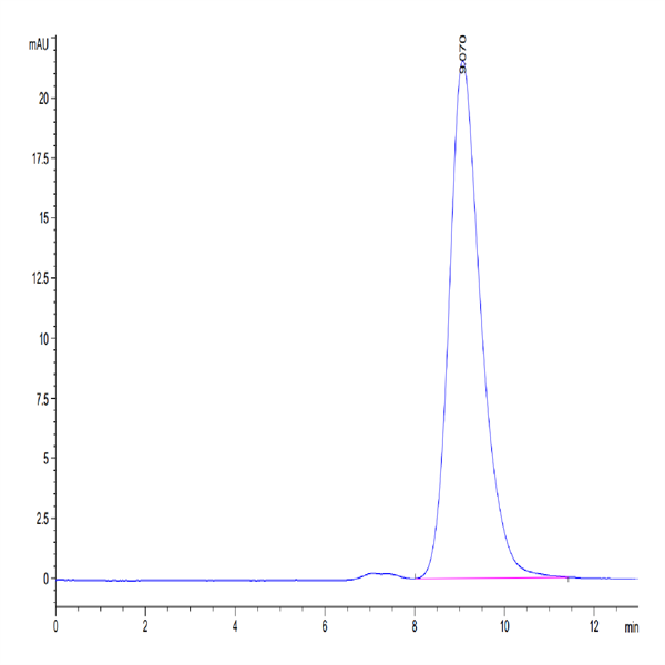 Mouse BST1 Protein (BST-MM101) Mouse BST1 Protein (BST-MM101)