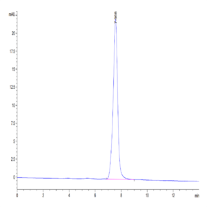 Mouse BST2 Protein (BST-MM202)