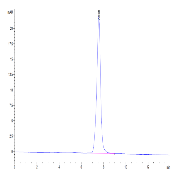 Mouse BST2 Protein (BST-MM202)