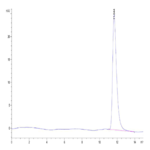 Human Betacellulin Protein (BTC-HM201)