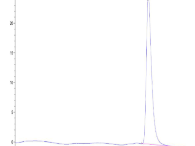 Human Betacellulin Protein (BTC-HM201)