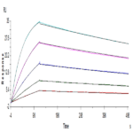 Human BTLA Protein (BTL-HM401)