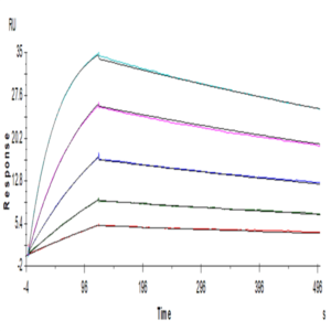 Human BTLA Protein (BTL-HM401)