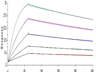 Human BTLA Protein (BTL-HM401)