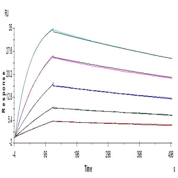 Human BTLA Protein (BTL-HM401) Human BTLA Protein (BTL-HM401)