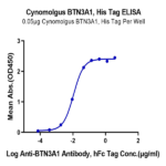 Cynomolgus BTN3A1/CD277 Protein (BTN-CM4A1)