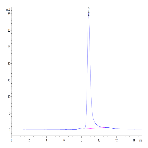 Cynomolgus BTN3A1/CD277 Protein (BTN-CM4A1)