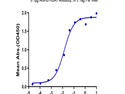 Biotinylated Cynomolgus BTN3A1/CD277 Protein (BTN-CM4A1B)