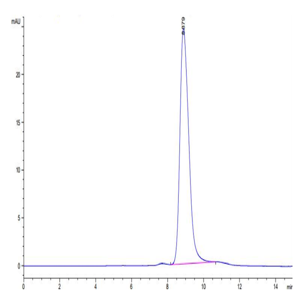 Biotinylated Cynomolgus BTN3A1/CD277 Protein (BTN-CM4A1B)