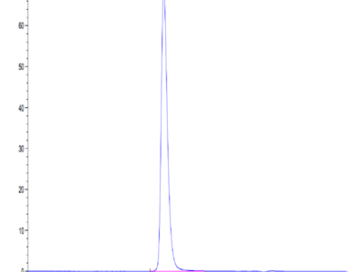 Human BTN1A1/Butyrophilin Protein (BTN-HM2A1)