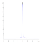 Human BTN3A1/CD277 Protein (BTN-HM2A3)