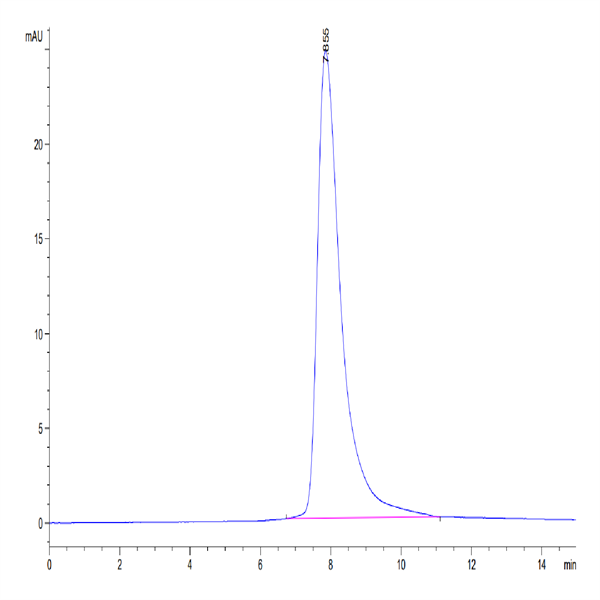Human BTN1A1/Butyrophilin Protein (BTN-HM4A1) Human BTN1A1/Butyrophilin Protein (BTN-HM4A1)