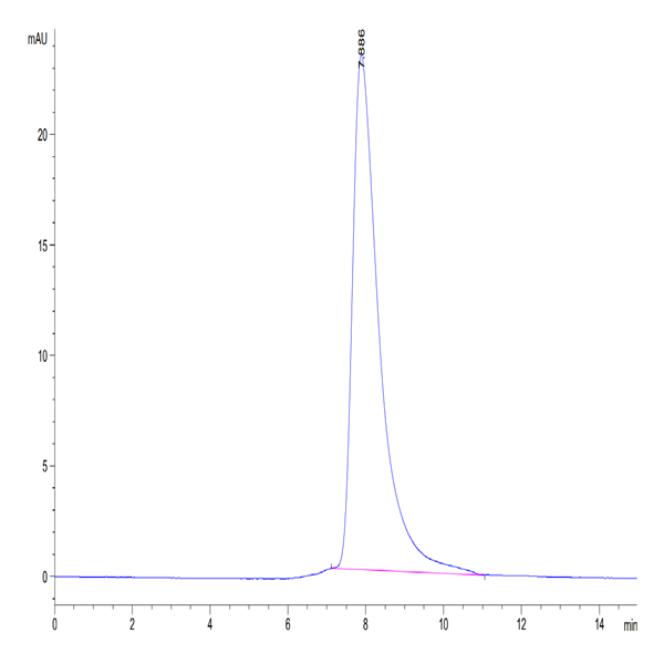 Biotinylated Human BTN1A1/Butyrophilin Protein (BTN-HM4A1B) Biotinylated Human BTN1A1/Butyrophilin Protein (BTN-HM4A1B)
