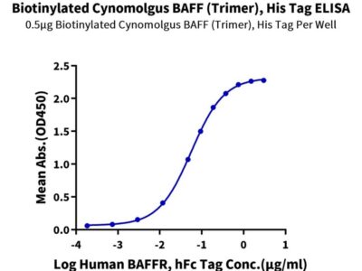Biotinylated Cynomolgus BAFFTNFSF13BCD257 Trimer Protein , BAF-CM412B Ushelf